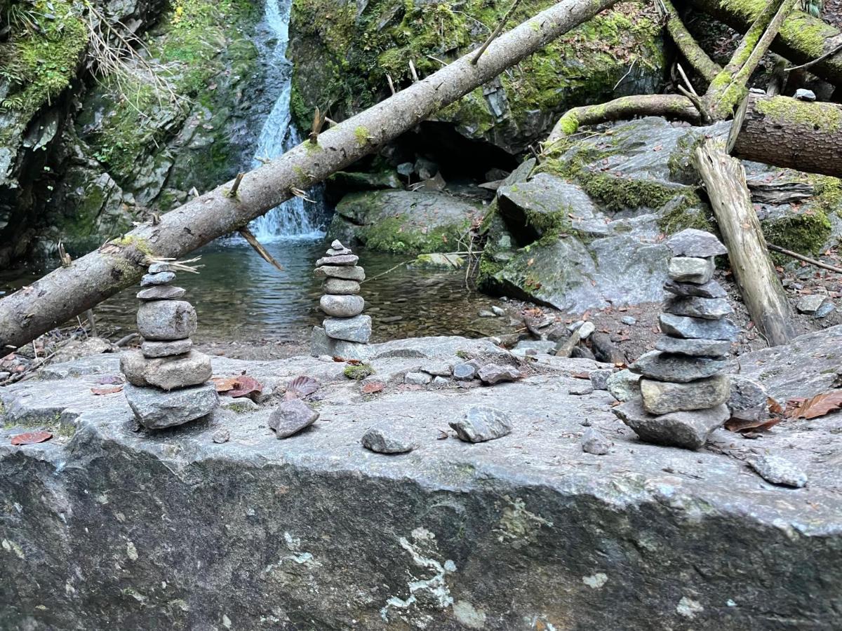 Ferienwohnung Am Schluchsee Dış mekan fotoğraf